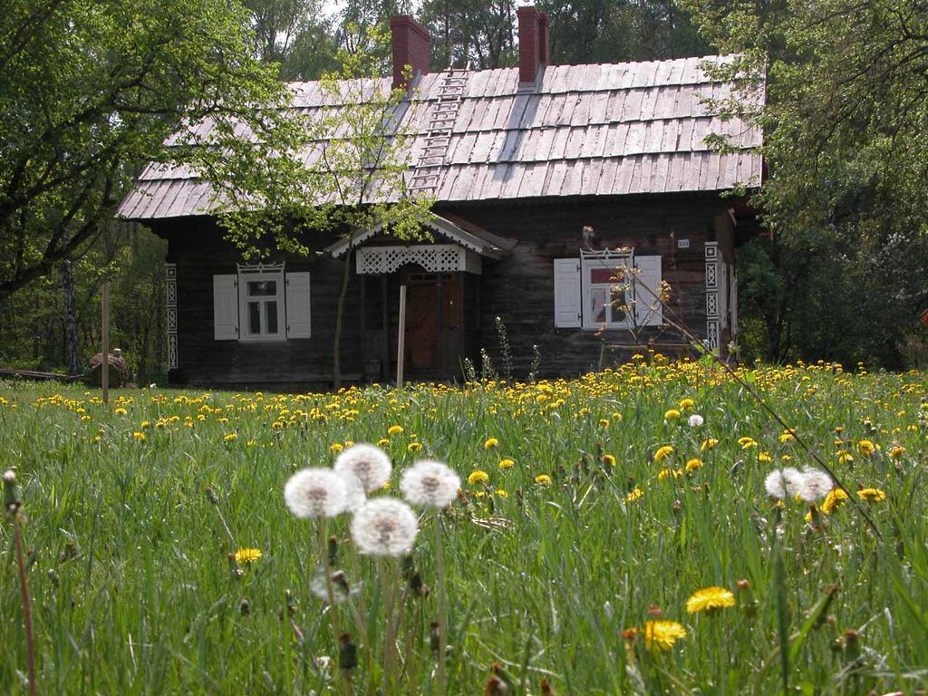 Villa Agroturystyka U Ostrowskich à Chartow Extérieur photo